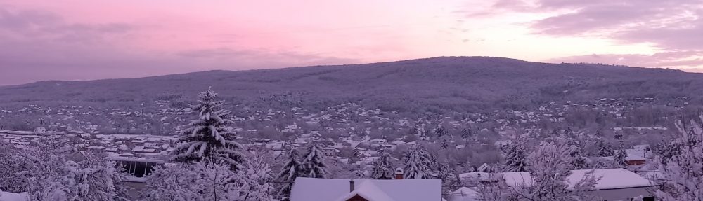 Nagykovácsi Településüzemeltetési Intézmény